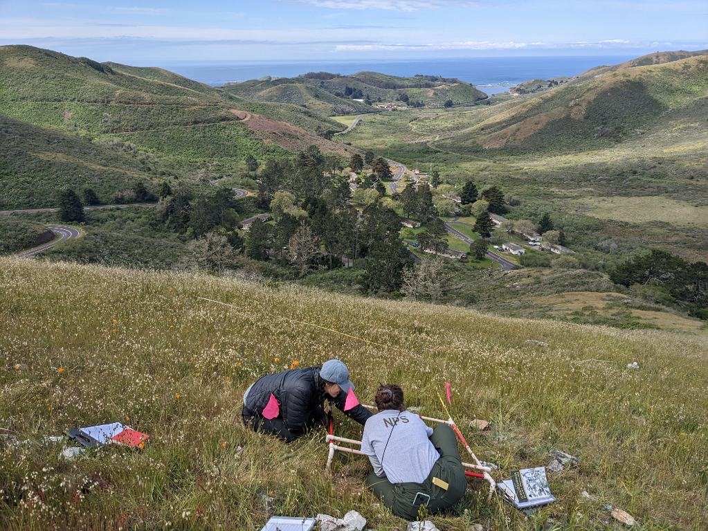 Two botanists sit in the grass and monitor of plot of vegetation at Golden Gate National Recreation Area. Scattered around them are field guides and notebooks.