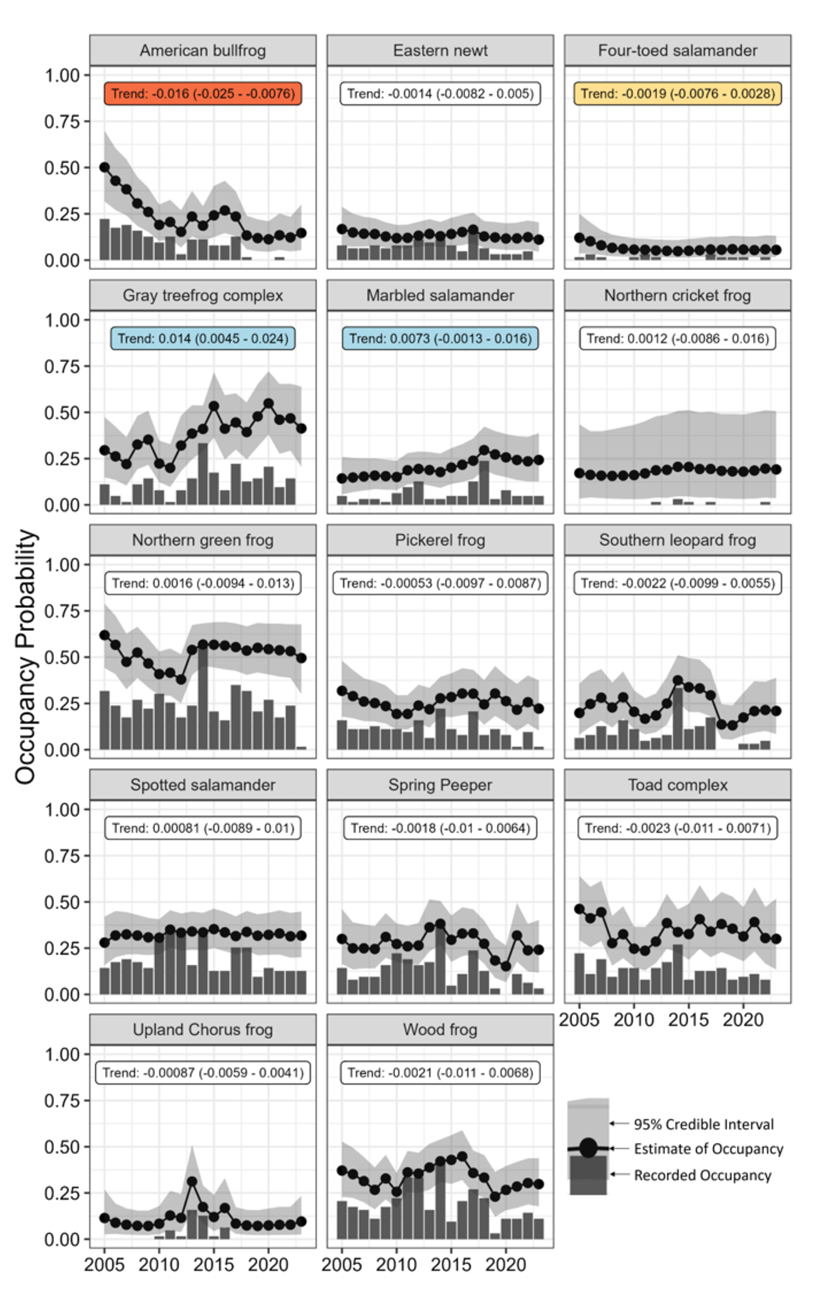 Graphs showing occupancy data for each amphibian species at C&O Canal over the years 2005-2023