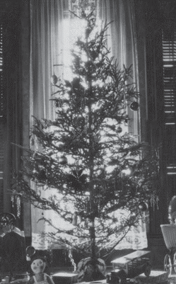 Christmas tree in front of window, 1926