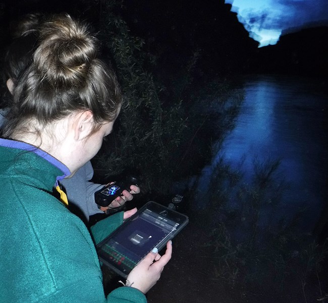 A student holding an iPad with a bat monitoring device attached.