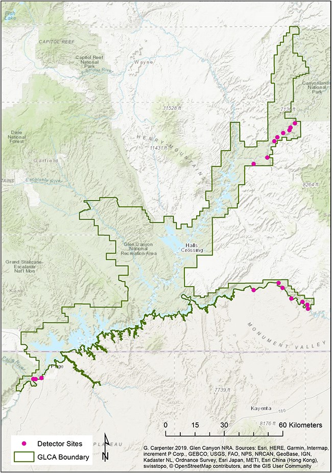A map of Glen Canyon National Recreation Area showing location of field sites.