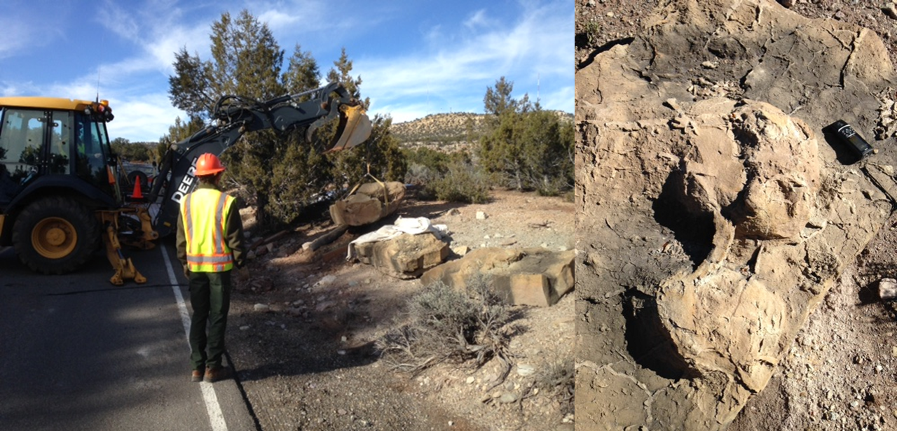 Photo of a backhoe moving a boulder and a photo of a fossil track on the boulder.
