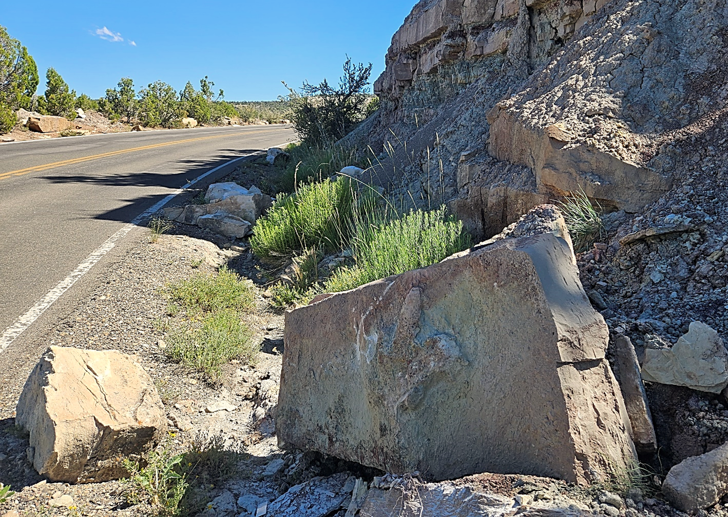 COLM Figure 4 Photo of boulders at the base of a roadside bluff.