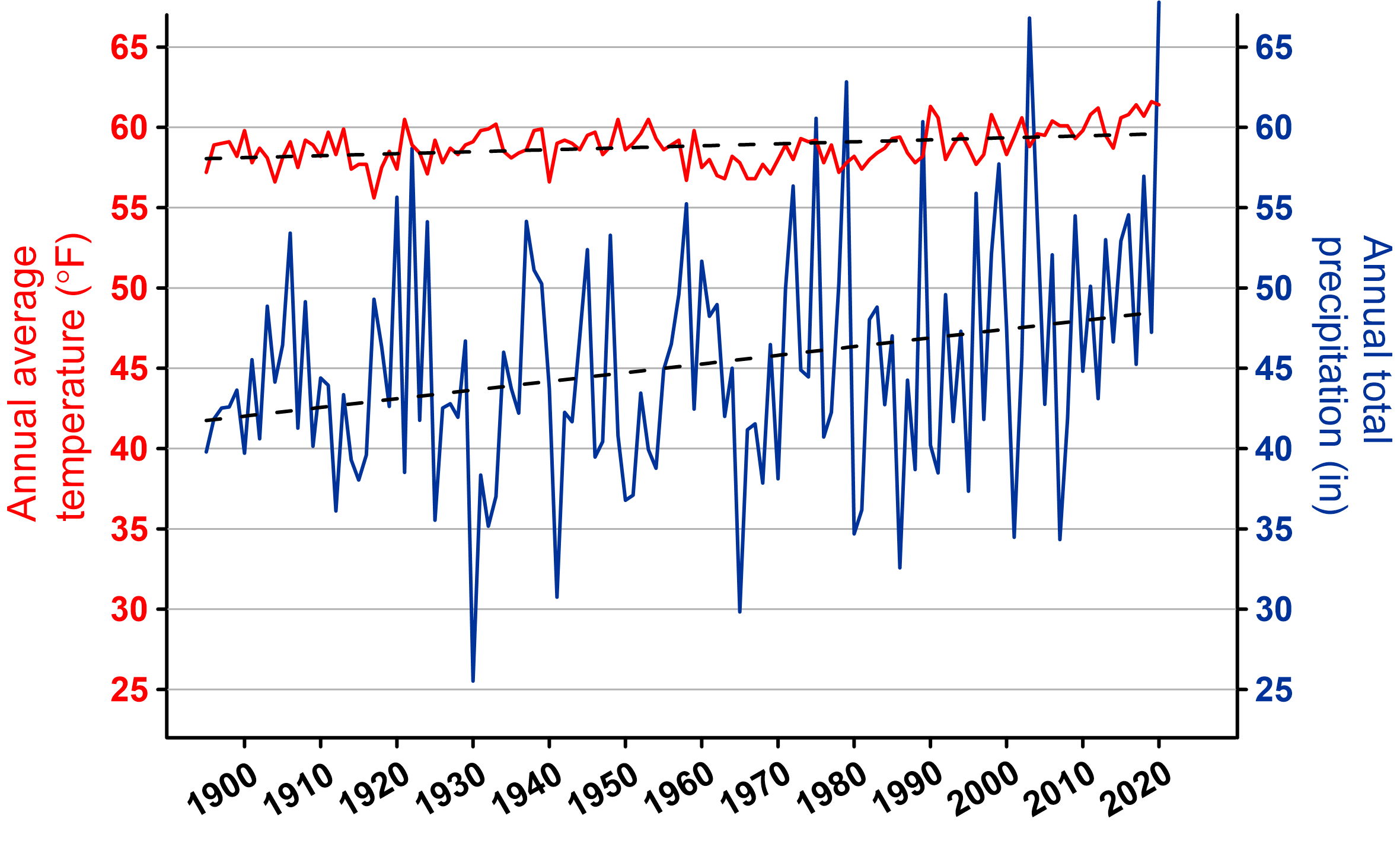 line graph on precipitation and temperature trends for COLO York County in 2020