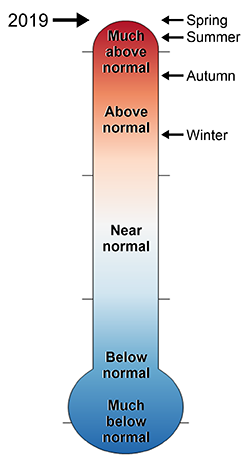 thermometer of York COLO 2019