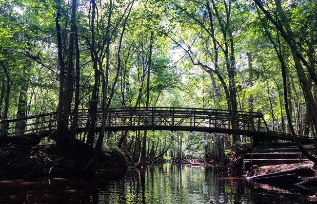 A bridge with a river running underneath in an area full of trees.