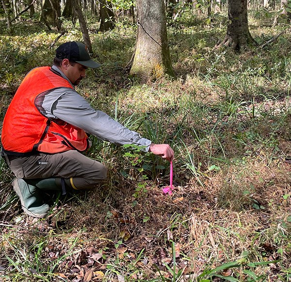 Checking benchmark at CONG003 Man kneeling in the woods