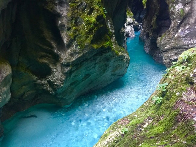 vibrant blue, clear water runs through a narrow mossy canyon