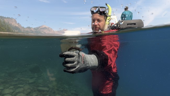 A diver collecting samples in water.