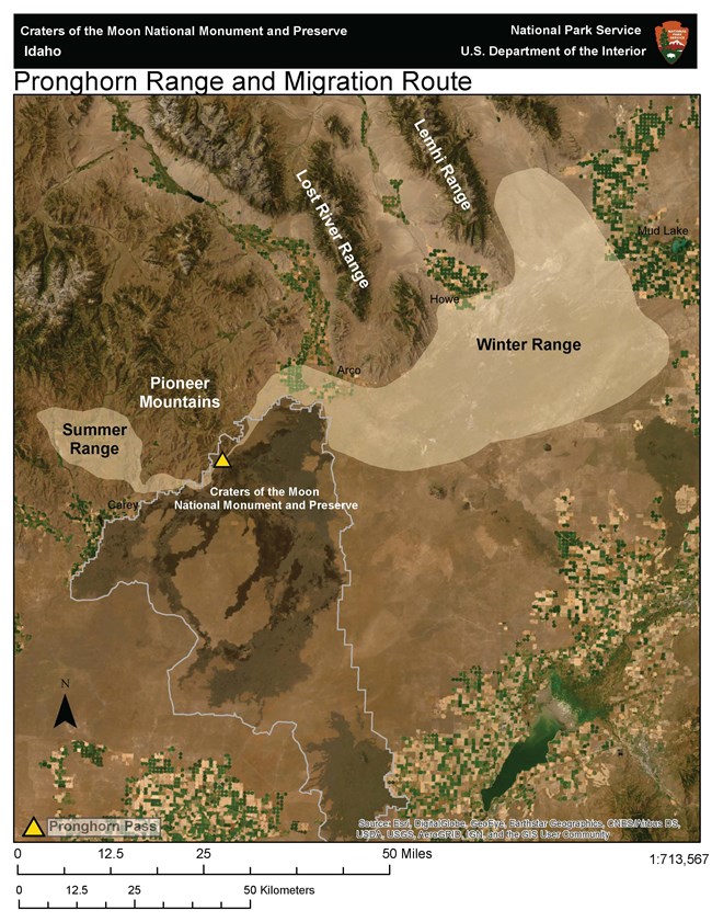 A map of the Pioneer Mountain pronghorn ranges and migration route around Craters of the Moon. The summer range is just west of the north end of the park. The migration route leaves the summer range and travels in a narrow path across Craters of the Moon.