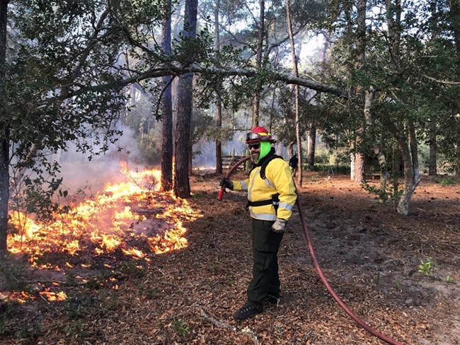 A firefighter holds a hose and watches a fire in leaves and grasses.