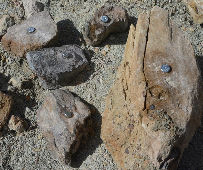rocks marked with metal pins
