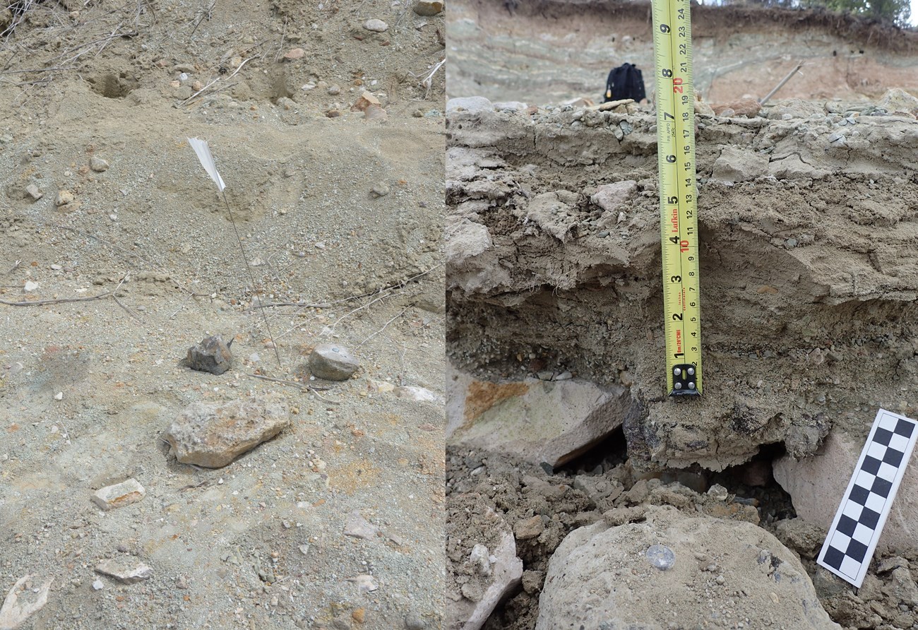 two photos of rocks including close-up view