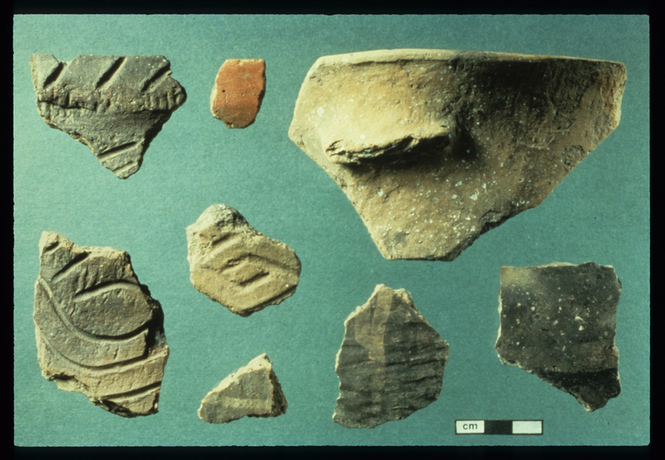 CUVA Pottery Eight pottery fragments of different shapes and patterns, arranged on a green background; they are various sizes between three and ten centimeters wide.