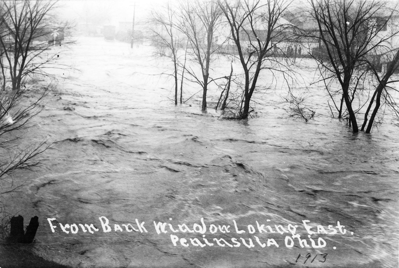 Black and white photo of raging floodwaters engulfing several trees with misty buildings in the background.