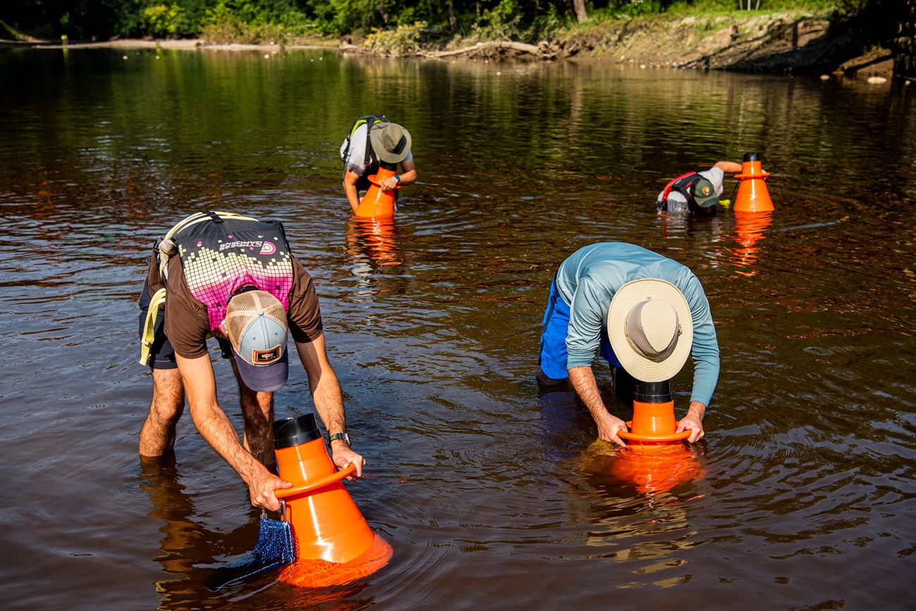 Four people stand in knee-deep water, doubled over toward the camera; each holds a bright orange cone-shaped device partially underwater; three of them peer through the smaller end of their tunnel, into the water.