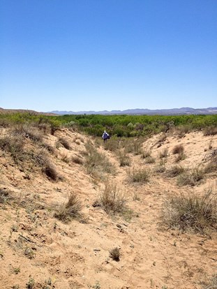 Traces of El Camino Real near Socorro in south-central New Mexico can be seen in gentle swales imprinted on the landscape. Photo courtesy of the National Park Service