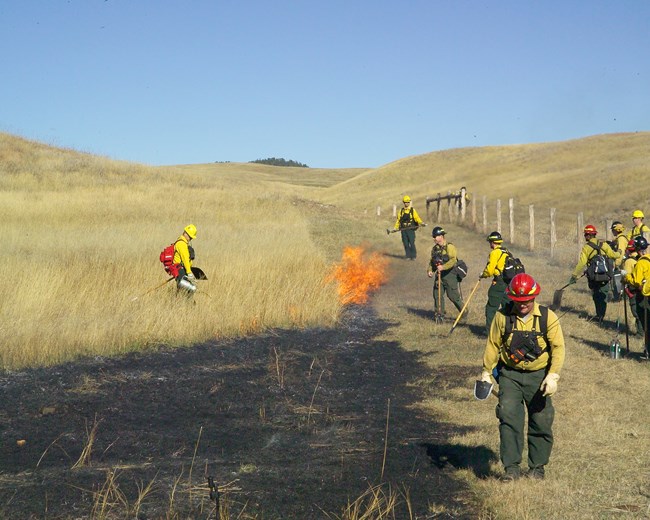 a group of firefighters standing next to a small smoldering grass fire near a fence, the grass between the fire and the fence has been mowed