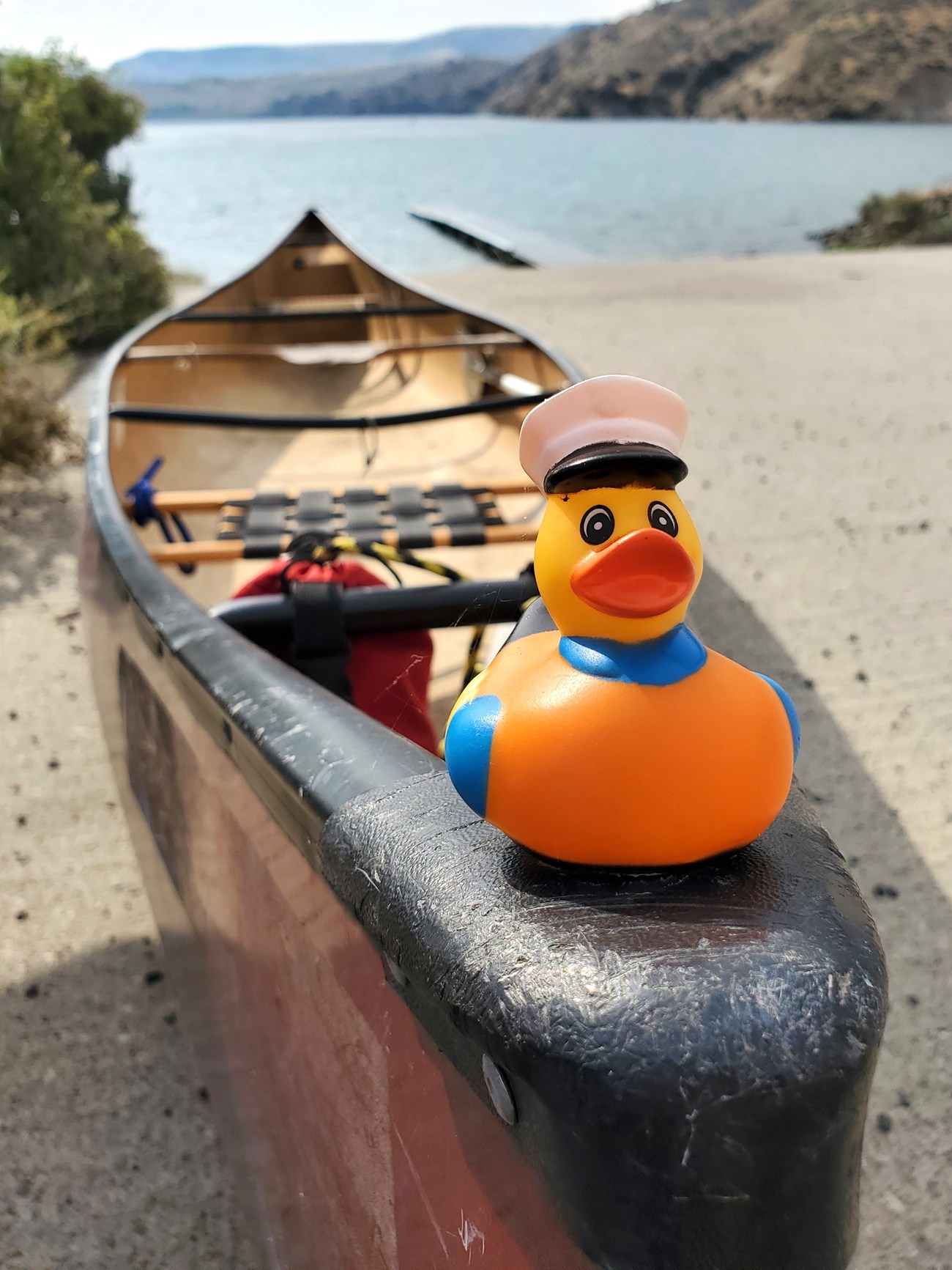 Captain Gifford A rubber duck dressed in a captain's hat is glue to the bow of a red canoe.