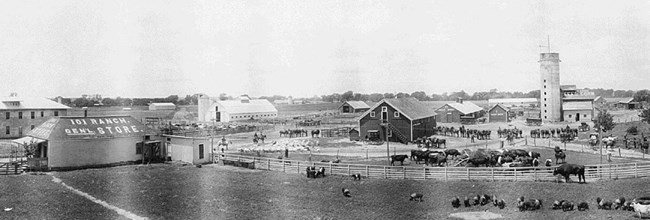 Historic farm and cattle ranch