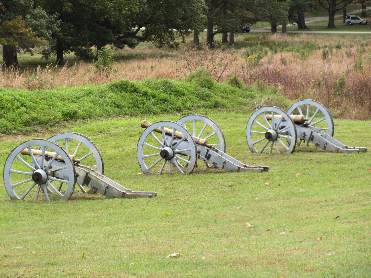 Three cannons in a grassy field
