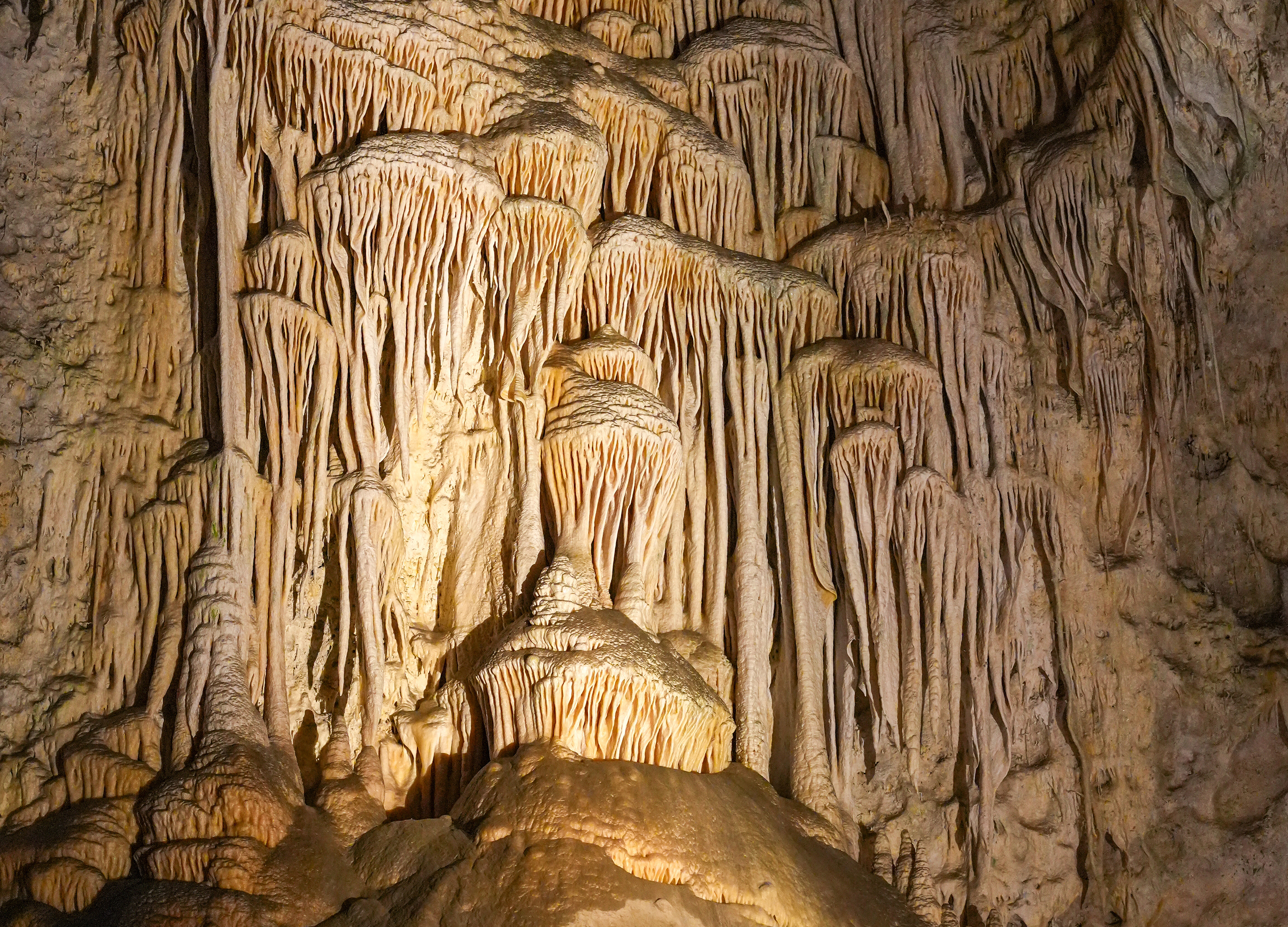 The interior of a cave, showing strange-looking formations.