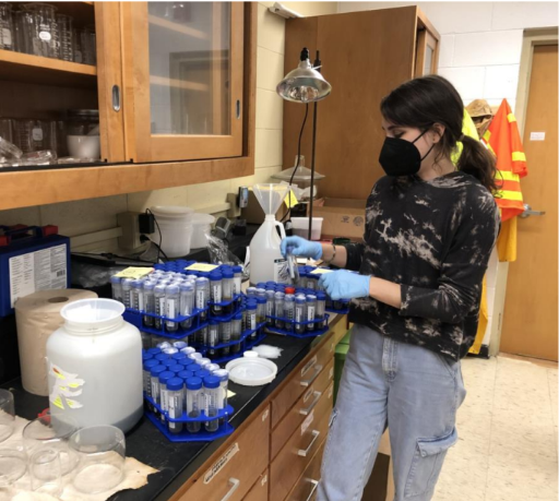 Female scientist stands next to box of test tubes.
