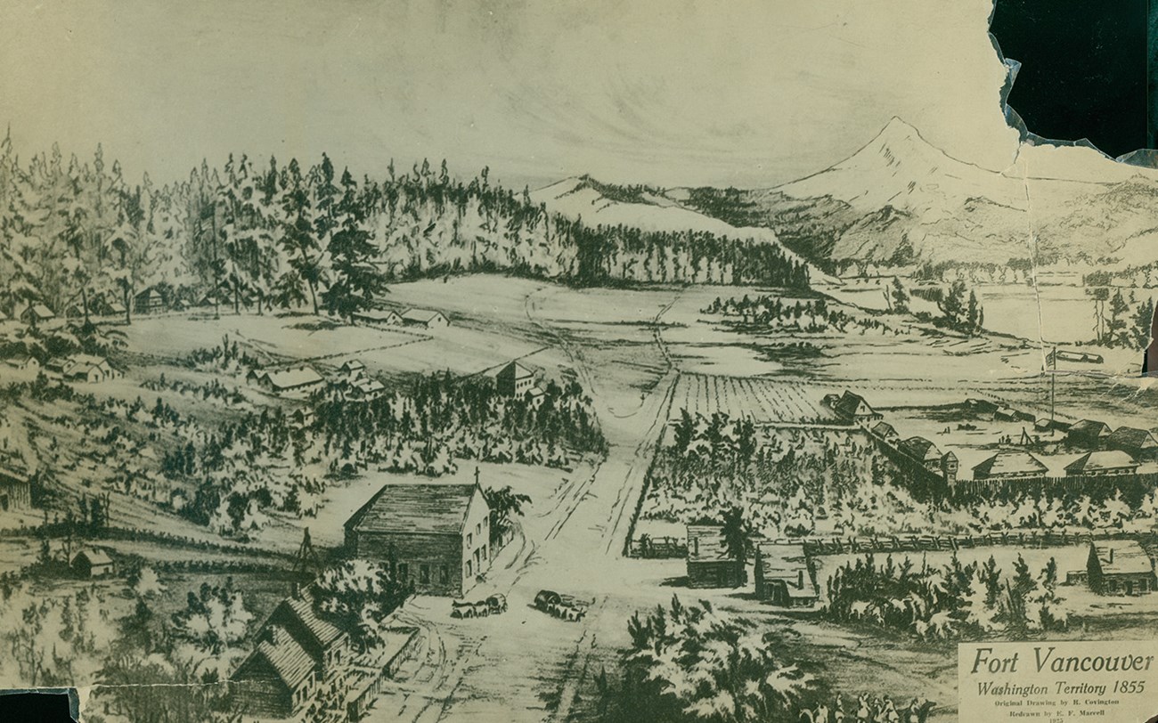 Sketch of small rustic village from above, surrounded by evergreen forest and snow peak in distance