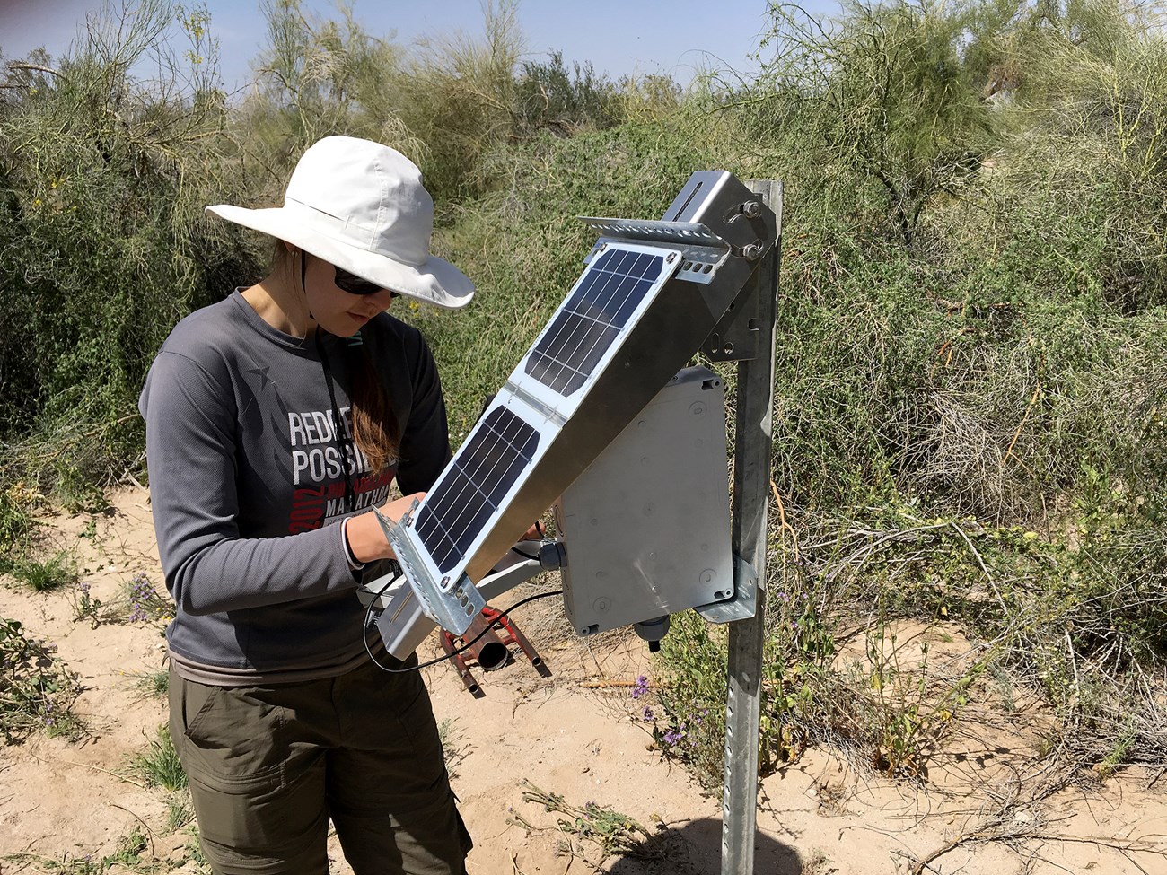 Cathleen Balantic setting up a remote audio monitoring unit Cathleen Balantic setting up a remote audio monitoring unit