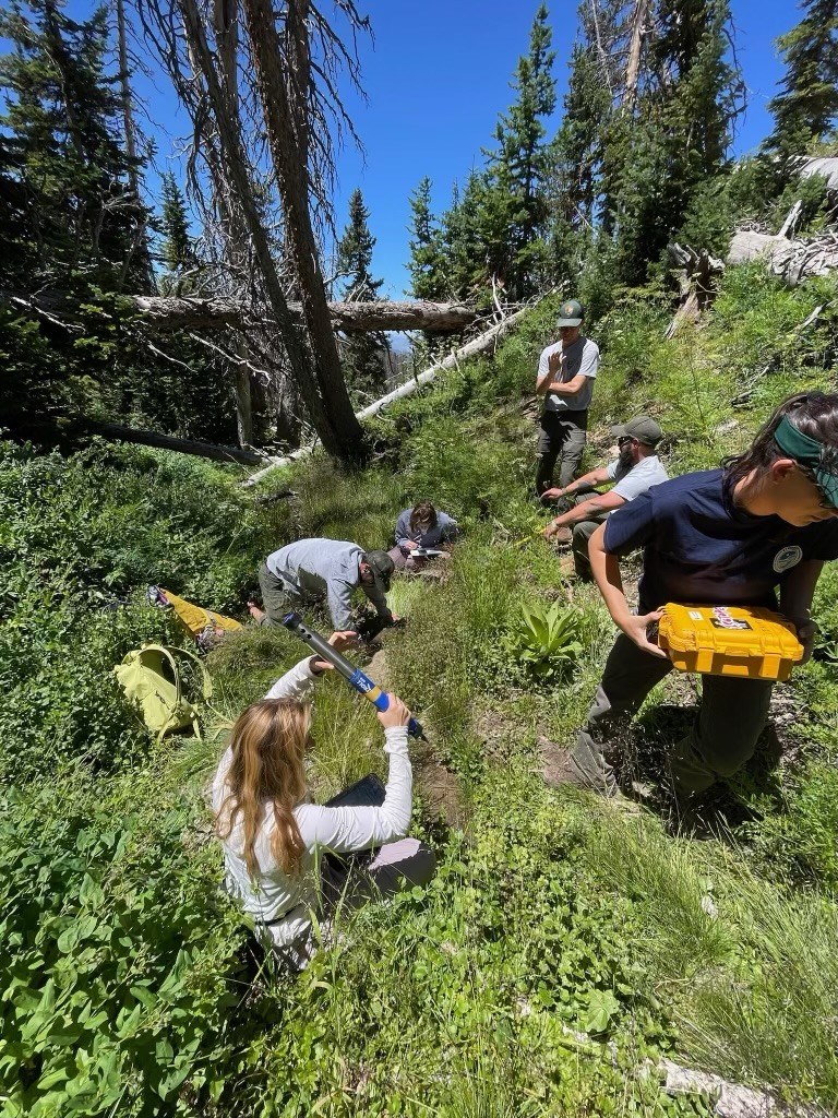 Six people work on a green hillside with field equipment.