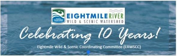 Celebrating 10 Years Banner