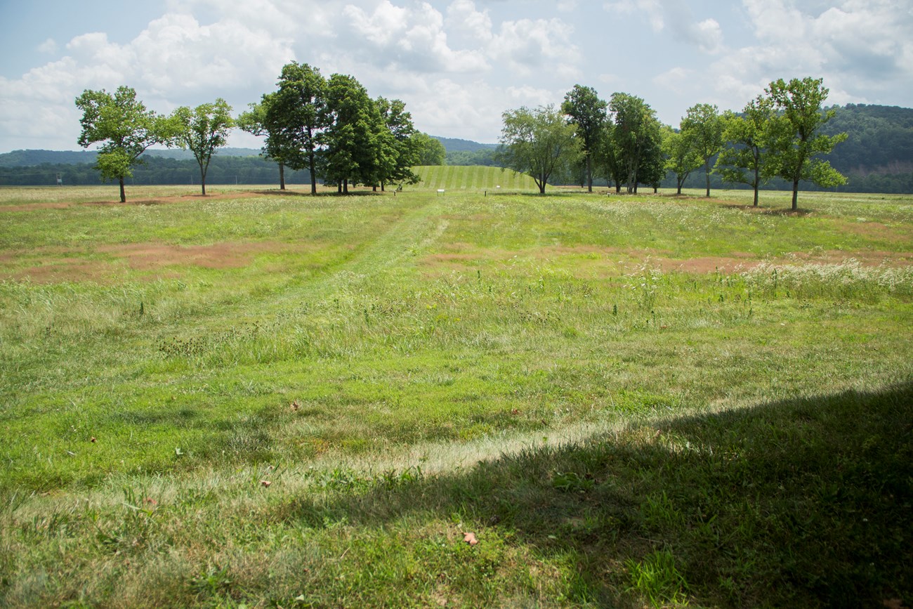 Seip Earthworks a large grassy field leads to an earthen mound.