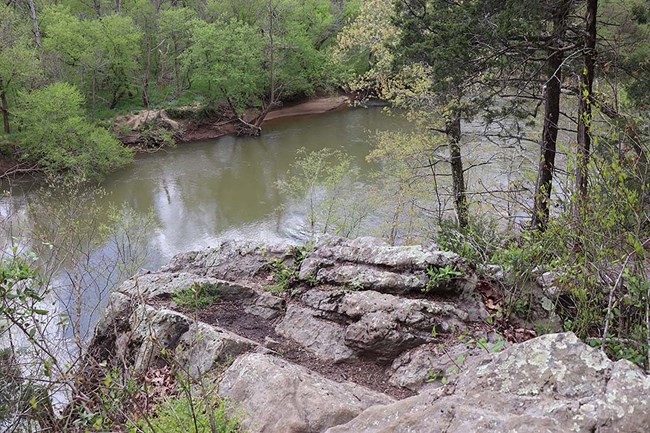 A rocky outcropping, surrounded by small trees, sits at the edge of a river of olive-green waters. A narrow, sandy beach along the opposite banks gives way to a small forest with grassy undergrowth.