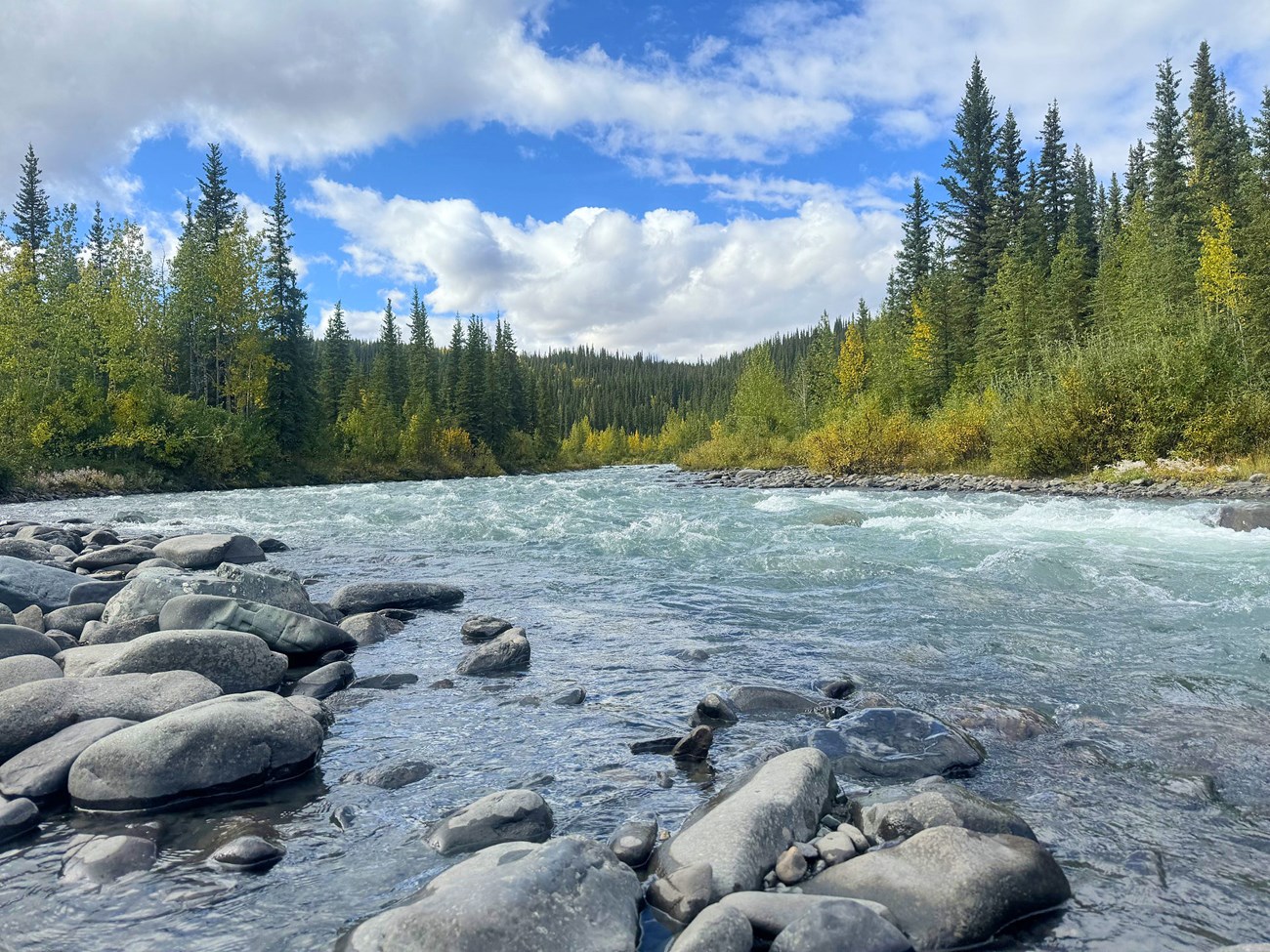 Riley Creek A large, turquoise creek lined with tall pines and some yellowing deciduous trees rushes past smooth boulders beneath an interesting, partly cloudy and blue sky.