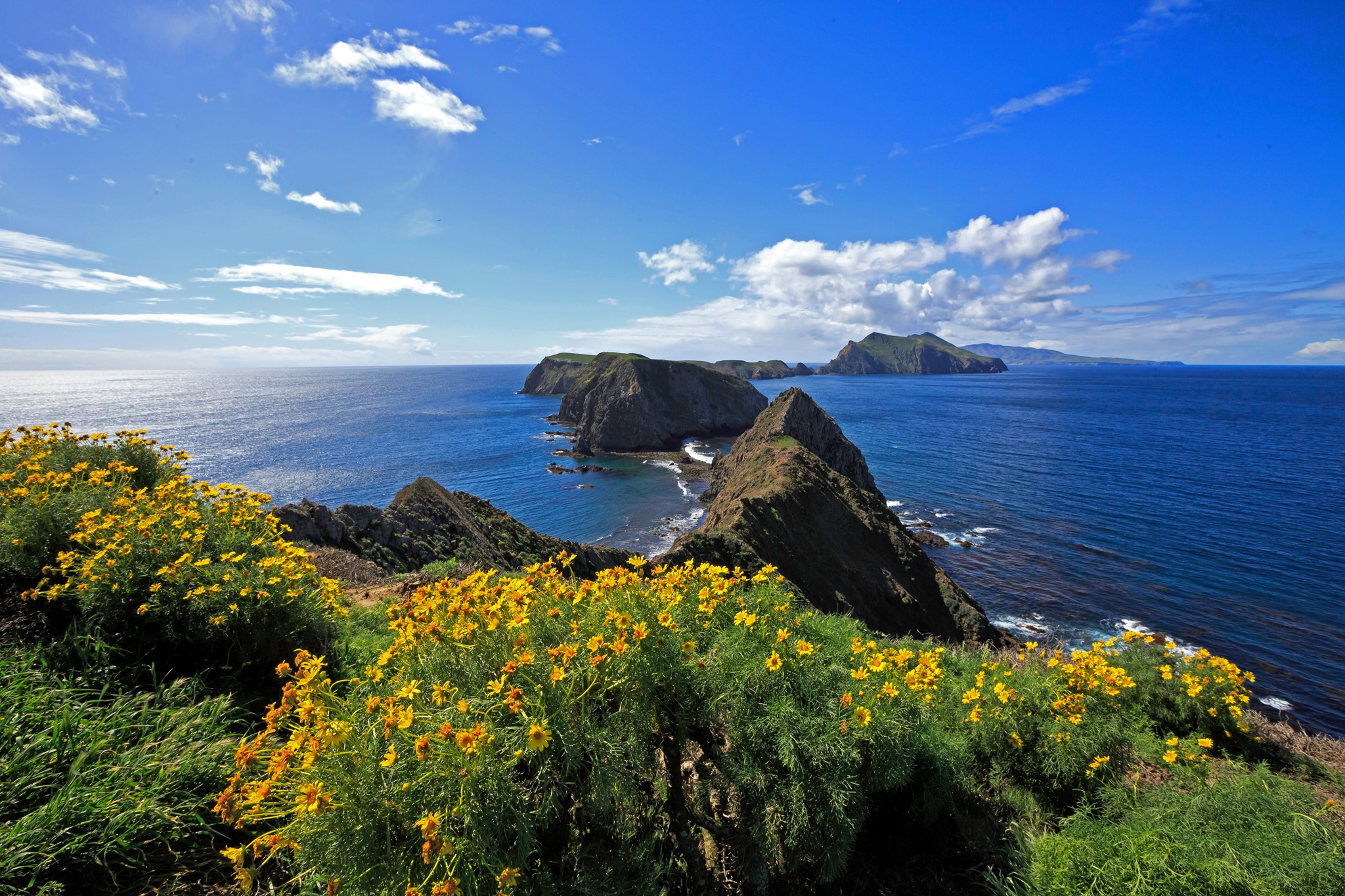 Channel-Islands-NPS_1.jpg?maxwidth\u003d1300\u0026autorotate\u003dfalse