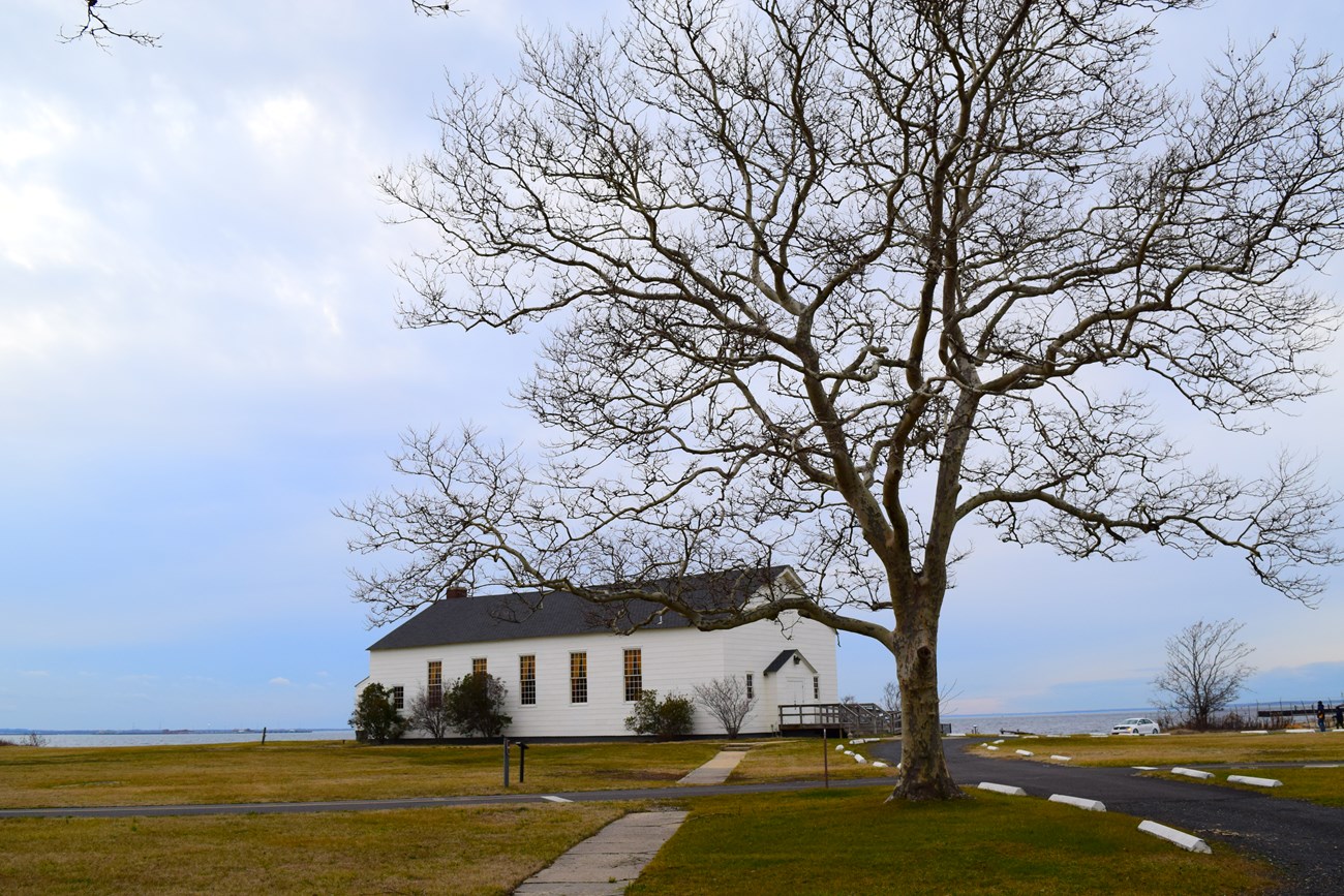 Large Tree beside a white chapel