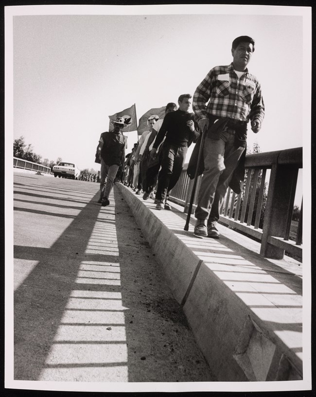 Cesar Chavez leads a line of supporters over a highway bridge during the 1966 march to Sacramento.