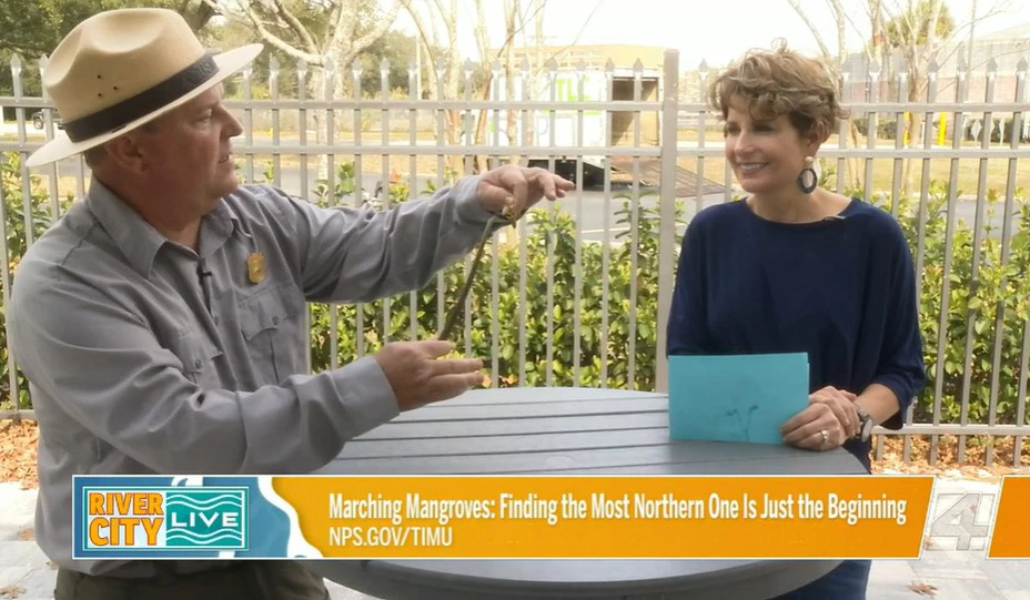 Talking mangroves on River City Live Man holding a plant talking to woman both standing at a desk