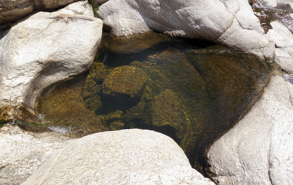 Chiminea 1L tinaja A small pool of clear water in a bedrock depression