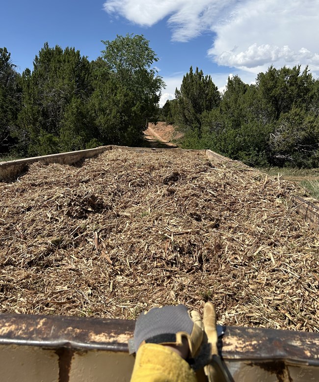 Chipped material to be hauled away Chipped material that was cleared from archeological sites and around critical infrastructure is piled to the rim of a large roll-off dumpster prior to being hauled away. A firefighter's hand and shirt cuff is visible in the foreground of the image.