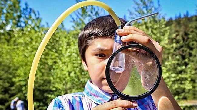 Citizen Science A kid exploring nature