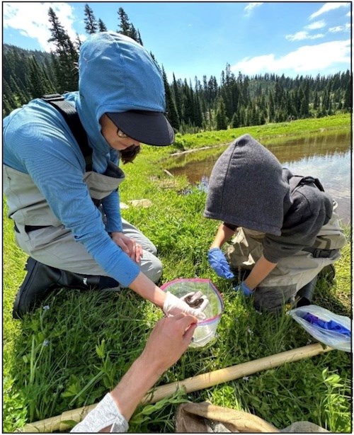 A person and a child look at a plastic bag being held up by a person off camera. They kneel at the side of a small pond in a meadow.