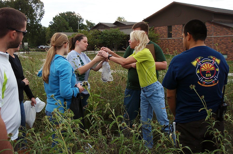 Mammal surveys during a BioBlitz Seven people standing in a field looking on as two of the people set up a scale to weigh a rodent in a mesh bag.
