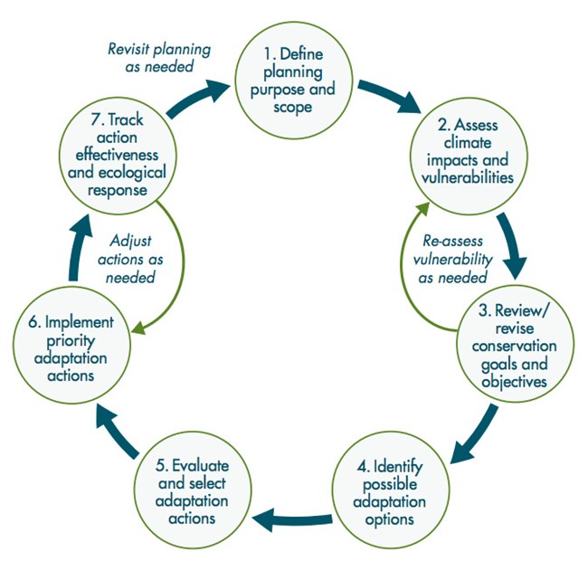 Climate Chg Fig2 Circular flow chart depicting in a clockwise direction the steps used in the Climate-Smart Conservation cycle.