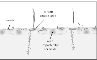 Image of treated areas with coated seeds planted as well.