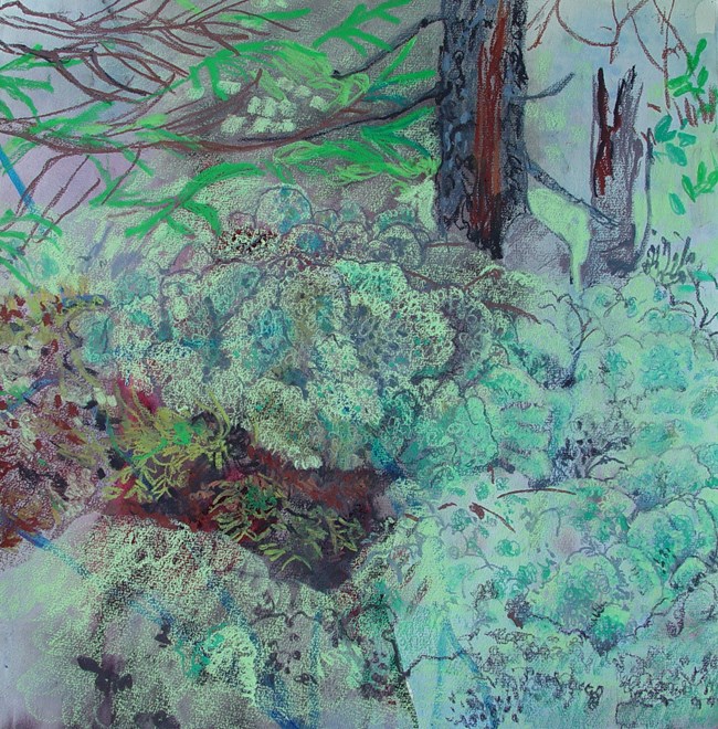 Colleen McCubbin Stepanic's pastel drawing of a section of Acadia's forest floor.