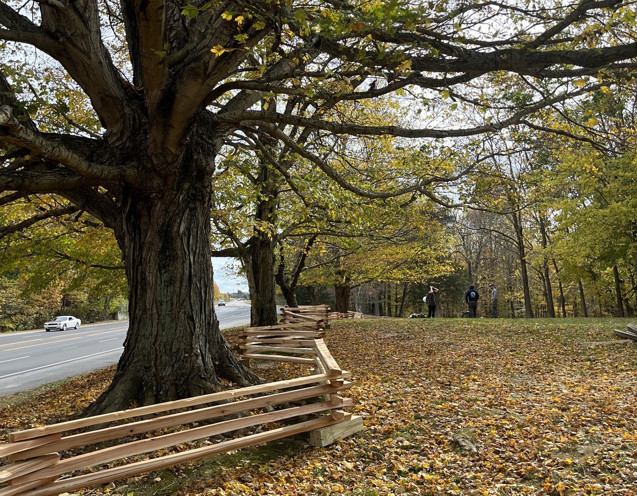 Completed split rail fencing with trees with fall colors