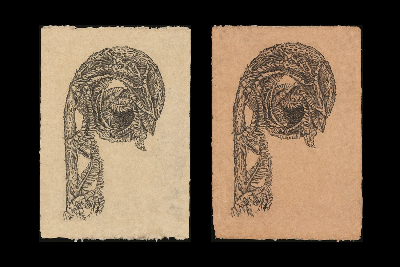 Two images side-by-side of the same illustration of a fern branch on two different types of handmade paper. Two images side-by-side of the same illustration of a fern branch on two different types of handmade paper.