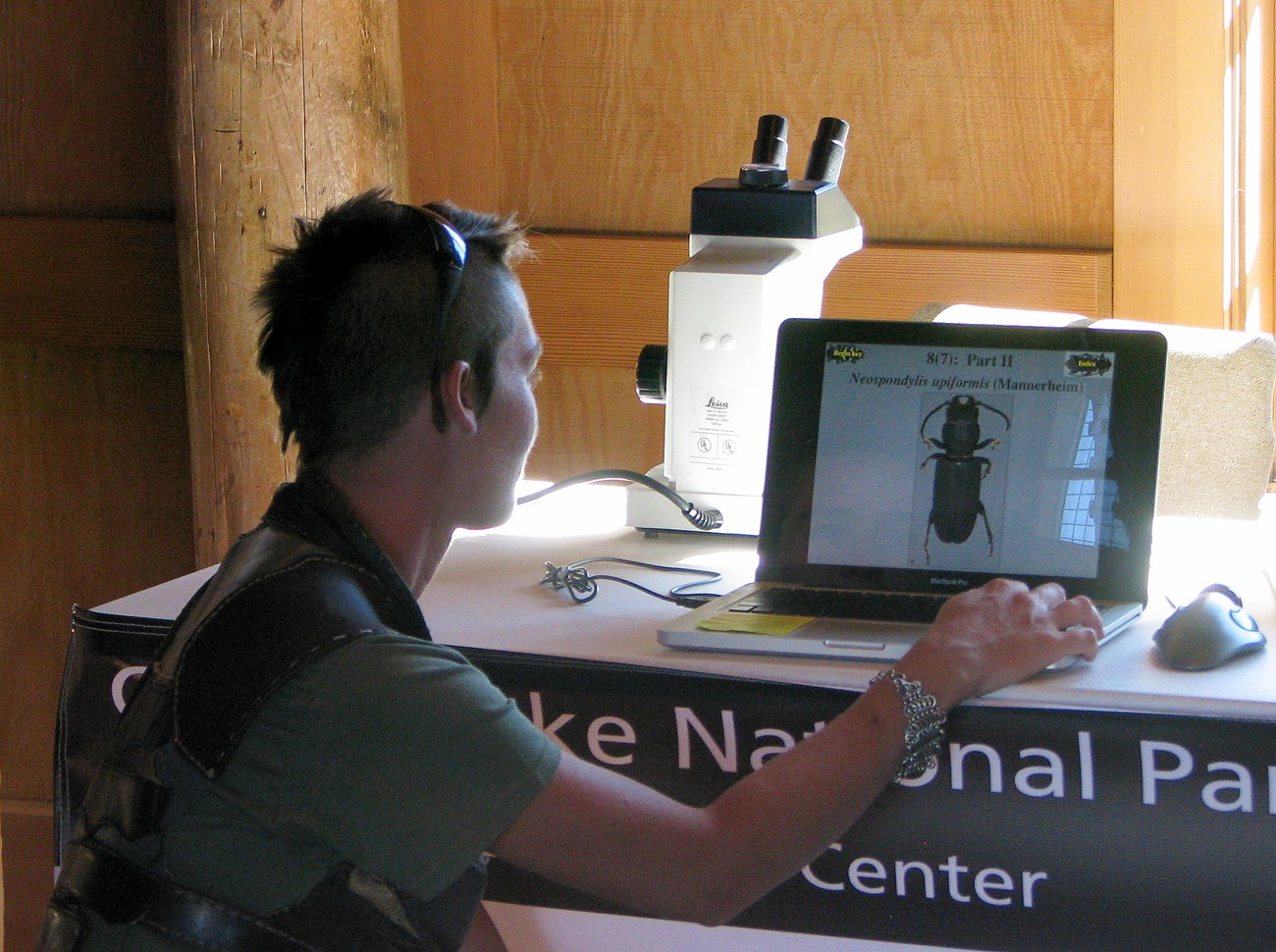 A person studies a beetle using a computer