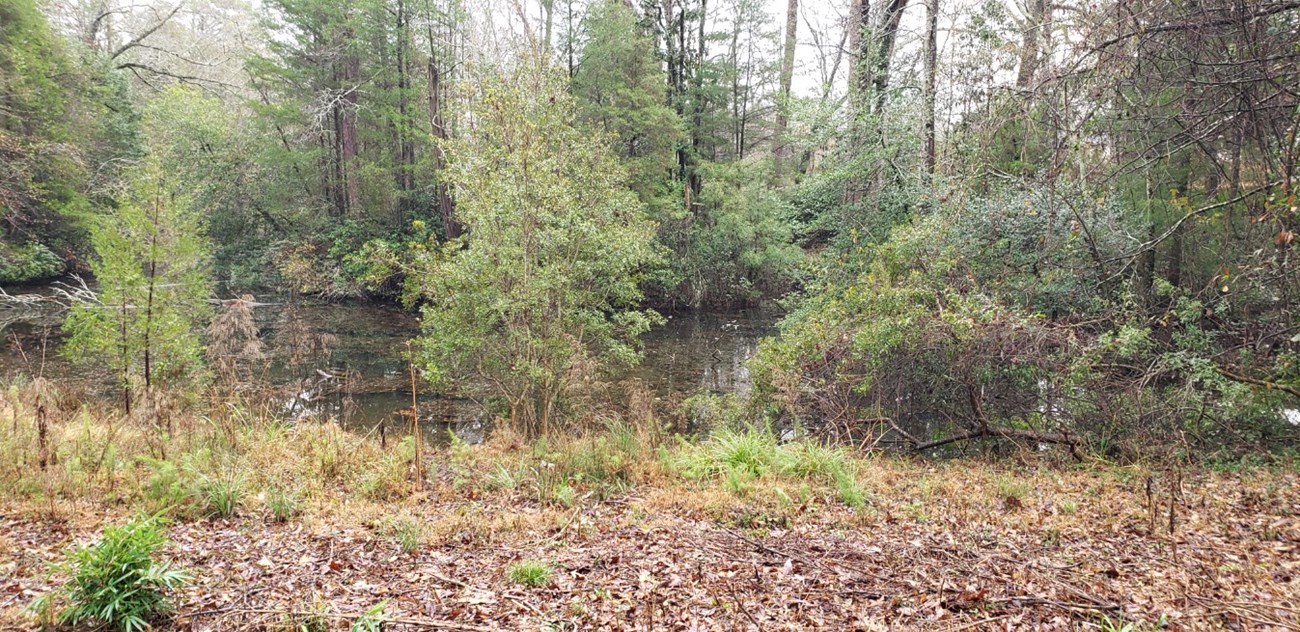 A clear stream separates trees from the foreground.